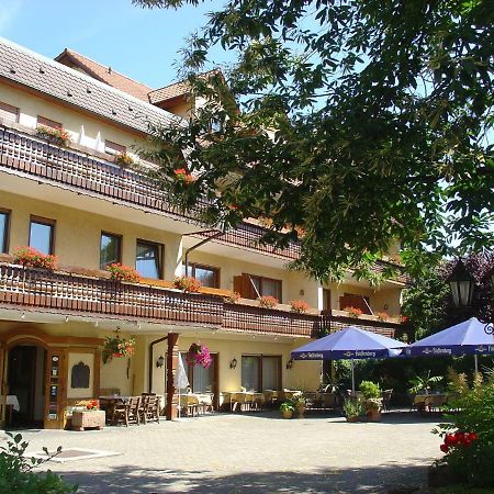 Ringhotel Garni Pflug Oberkirch Kültér fotó