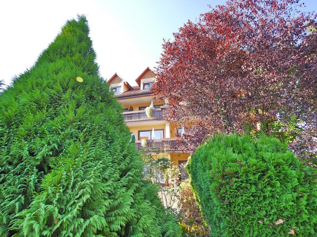 Ringhotel Garni Pflug Oberkirch Kültér fotó