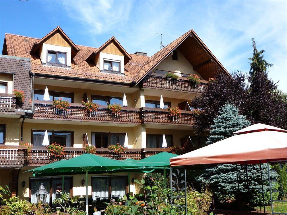 Ringhotel Garni Pflug Oberkirch Kültér fotó