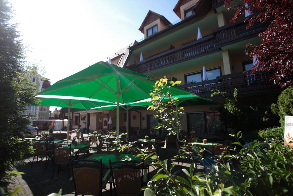 Ringhotel Garni Pflug Oberkirch Kültér fotó