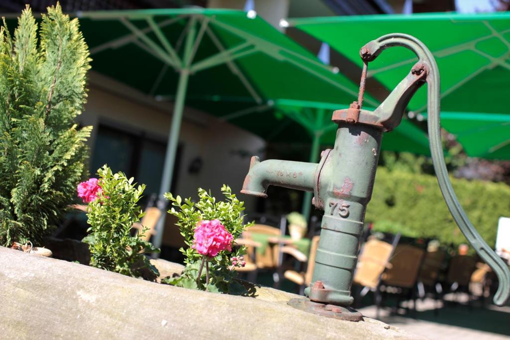 Ringhotel Garni Pflug Oberkirch Kültér fotó