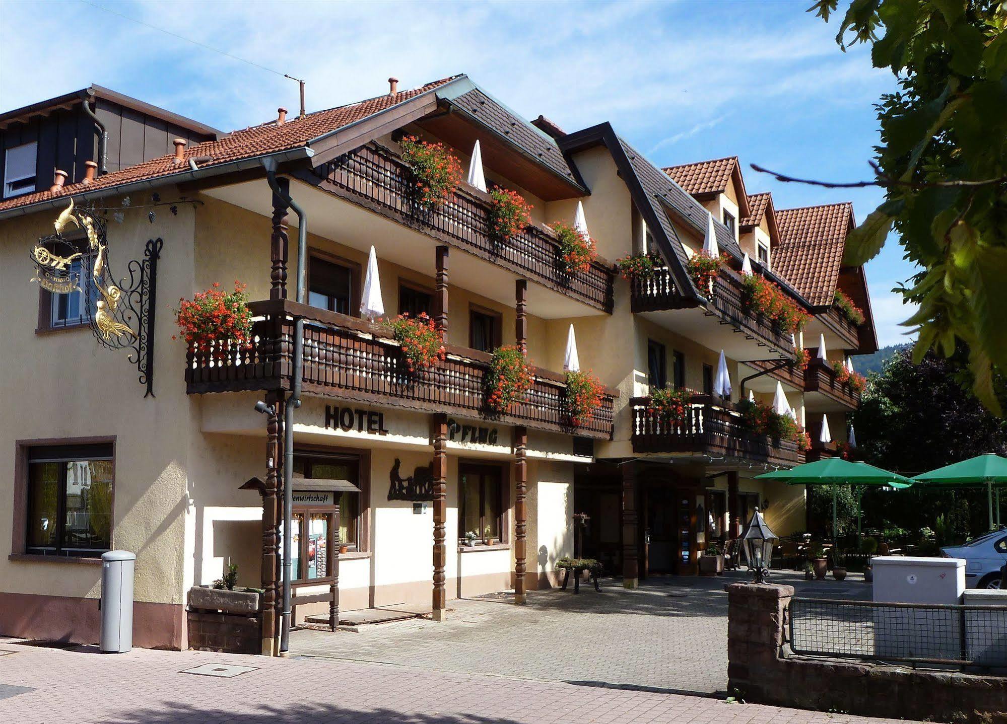 Ringhotel Garni Pflug Oberkirch Kültér fotó