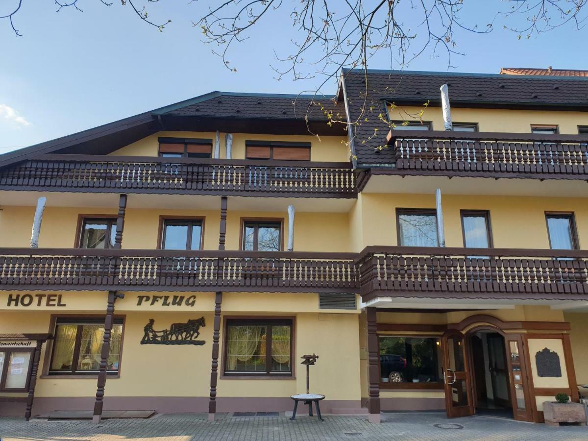 Ringhotel Garni Pflug Oberkirch Kültér fotó